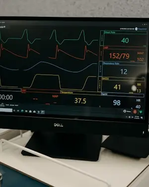 VitaPulse Launches New Heart Health Monitoring Feature